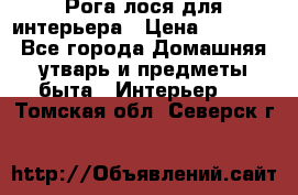 Рога лося для интерьера › Цена ­ 3 300 - Все города Домашняя утварь и предметы быта » Интерьер   . Томская обл.,Северск г.